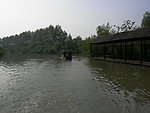 溱湖 湿地