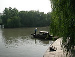 溱湖 湿地