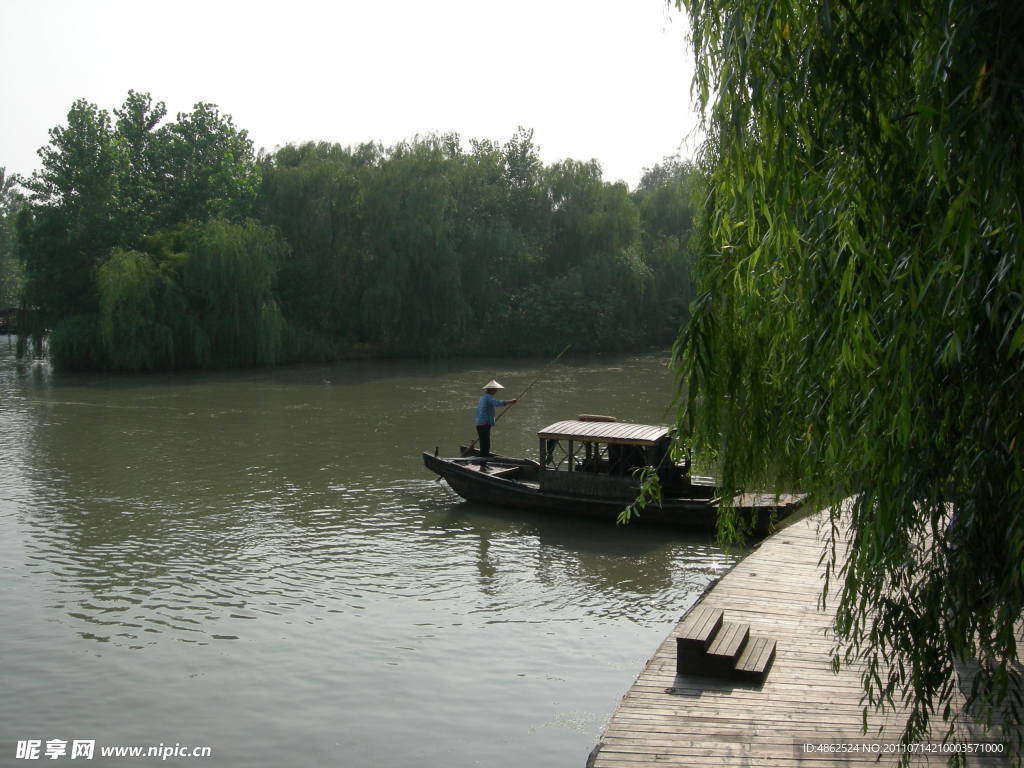 溱湖 湿地