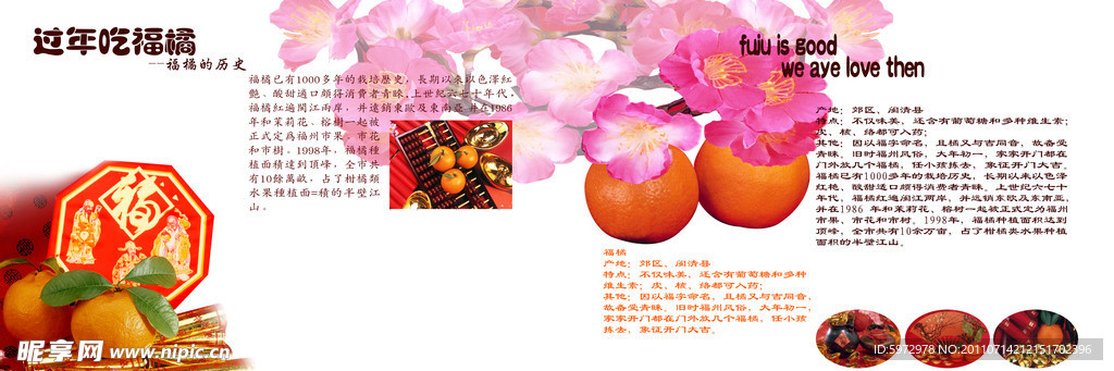 中国风 过年吃福橘