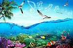 夏日海韵