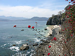 海滩
