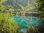风景