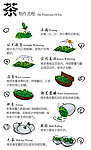 茶制作流程
