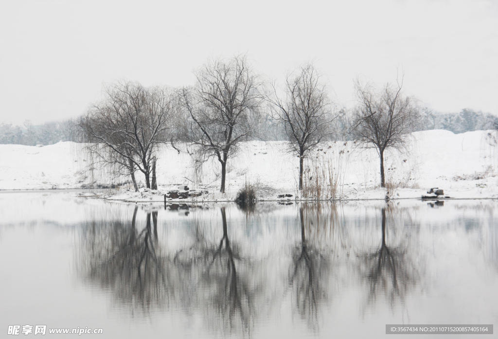 雪景