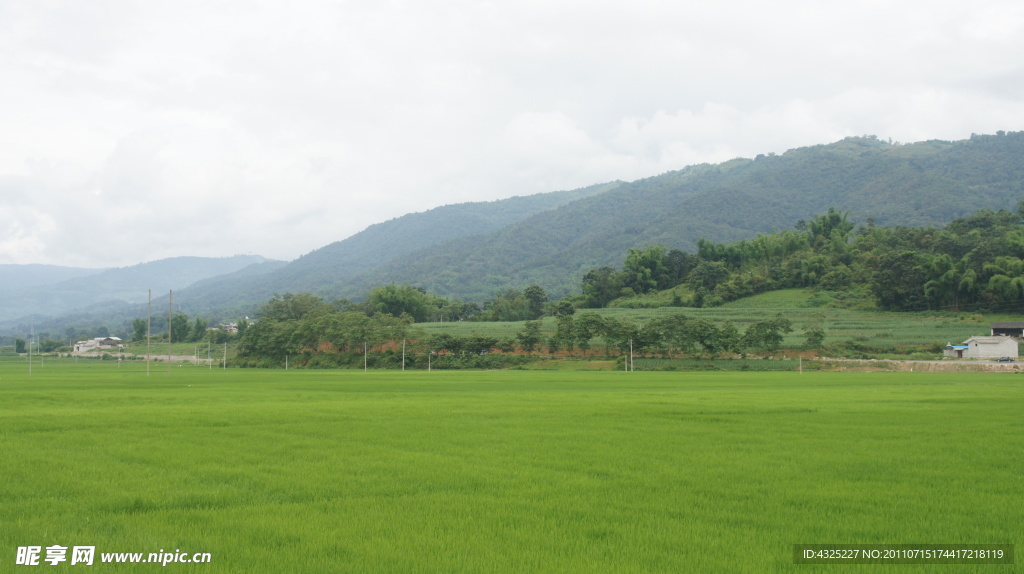 田园风光