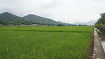 田园风光