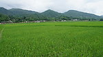 田园风光