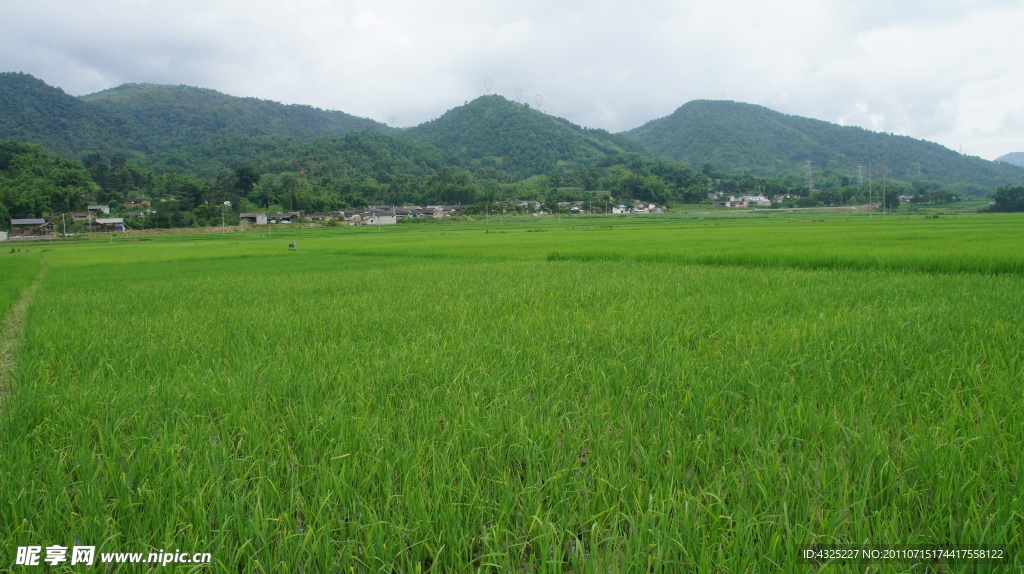 田园风光