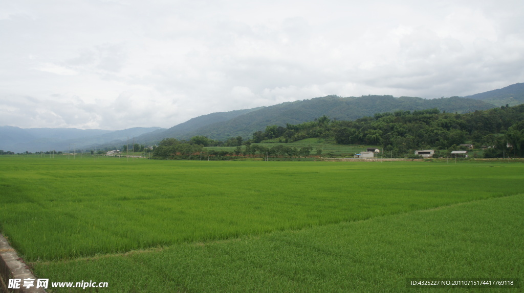 田园风光