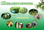 竹笋种植流程图