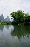 小河竹子