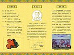 牛樟芝三折页设计