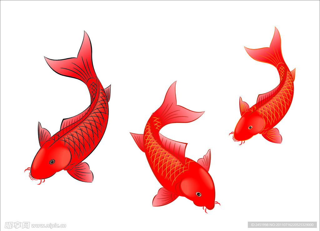 红鱼图片素材-编号14097560-图行天下