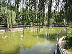 湖水