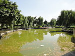 湖水