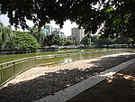 湖水