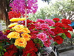 鲜花