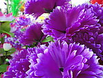 鲜花
