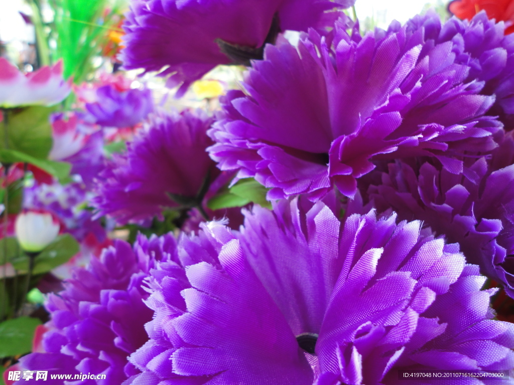 鲜花