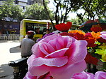鲜花