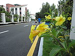 公路