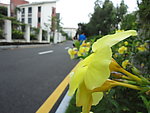公路