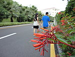 公路