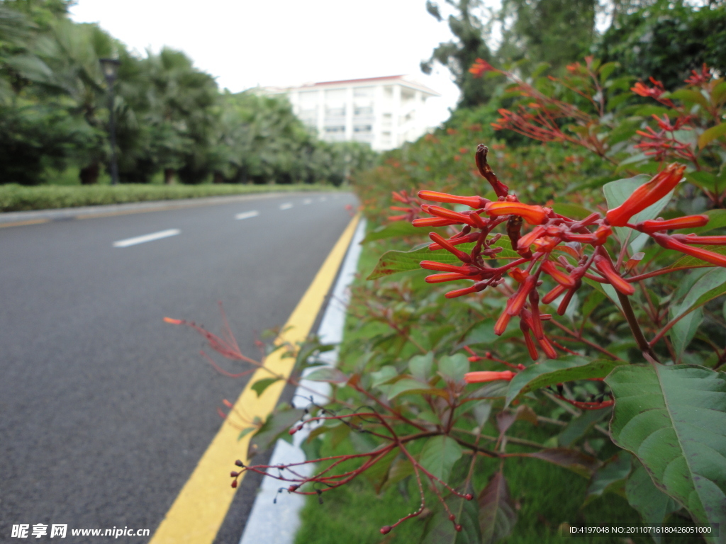 公路