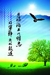 明志展板