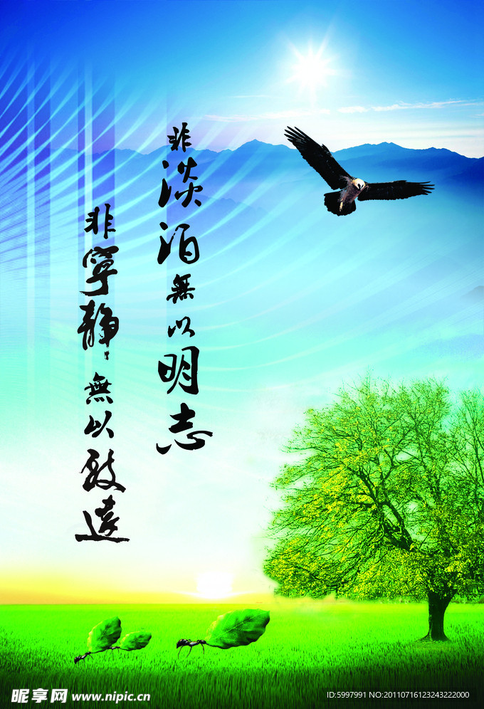 明志展板