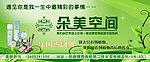 绿色美丽现金券
