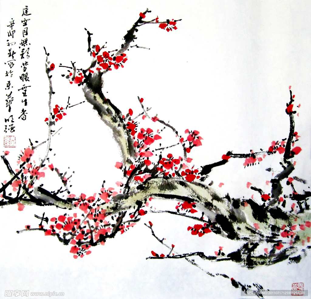 红梅