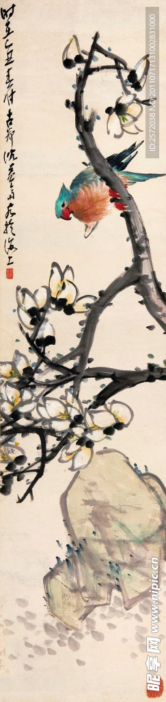 玉兰鹦鹉图