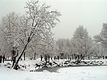 公园雪景