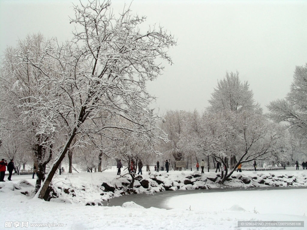 公园雪景