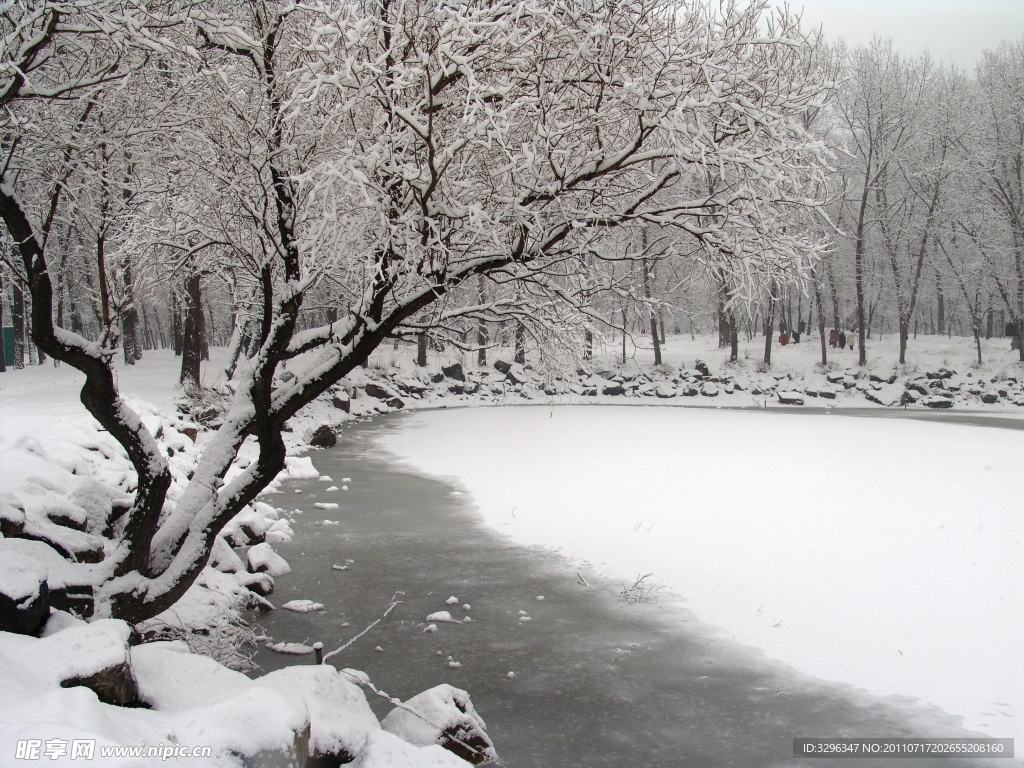 雪景