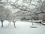 公园雪景