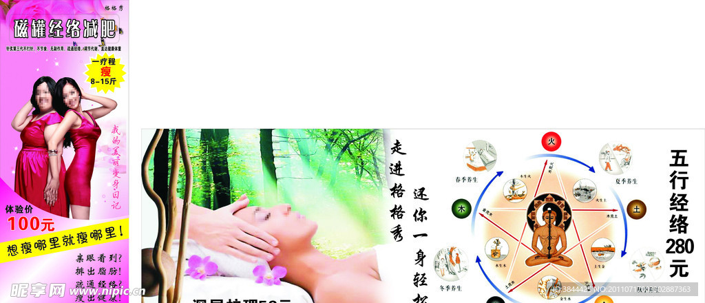 减肥 五行 美容