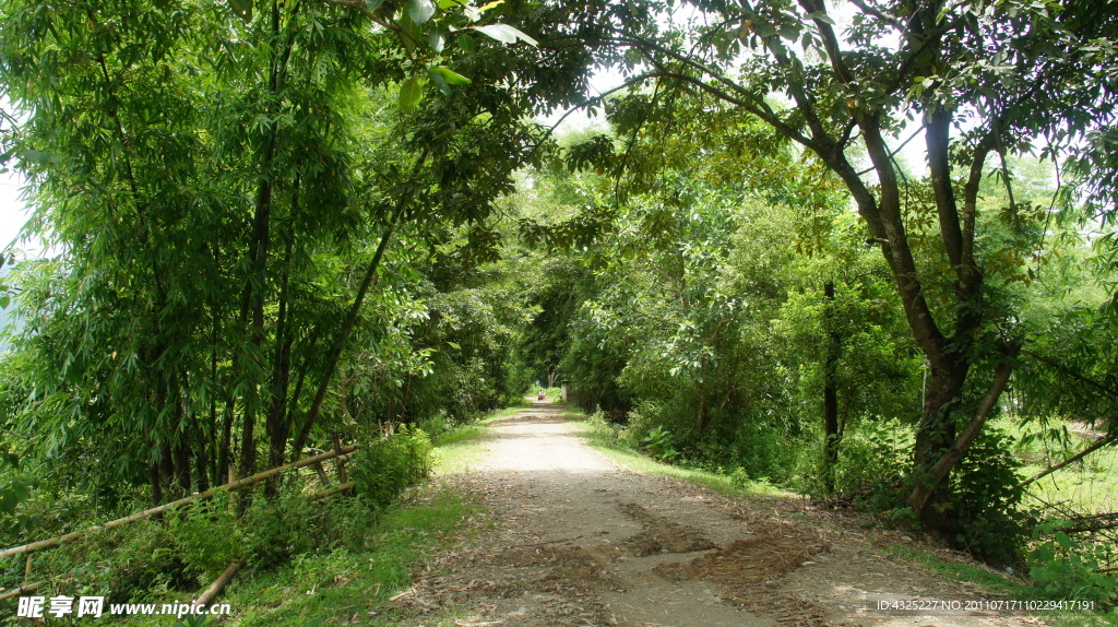 乡村小路
