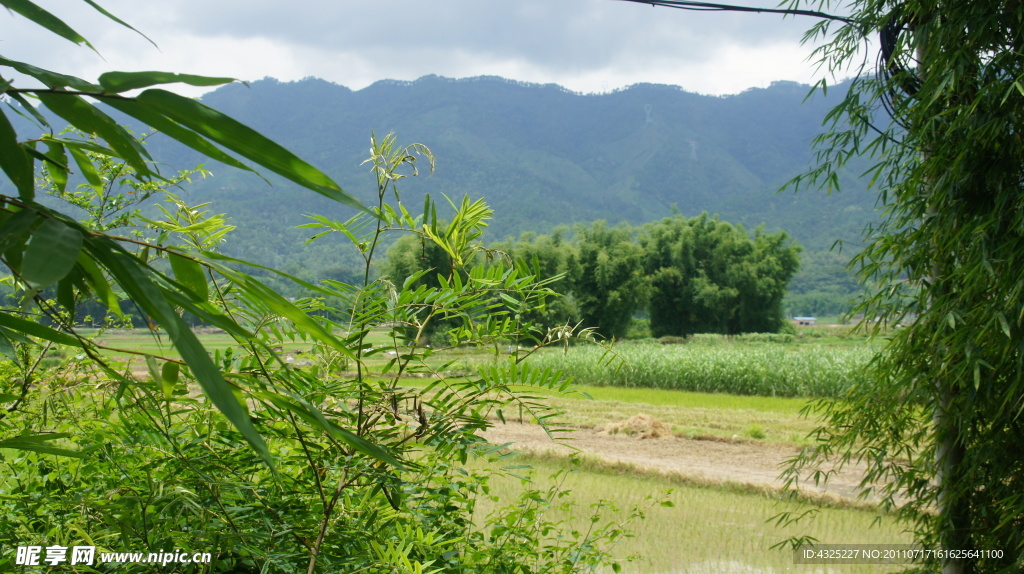 田园风光