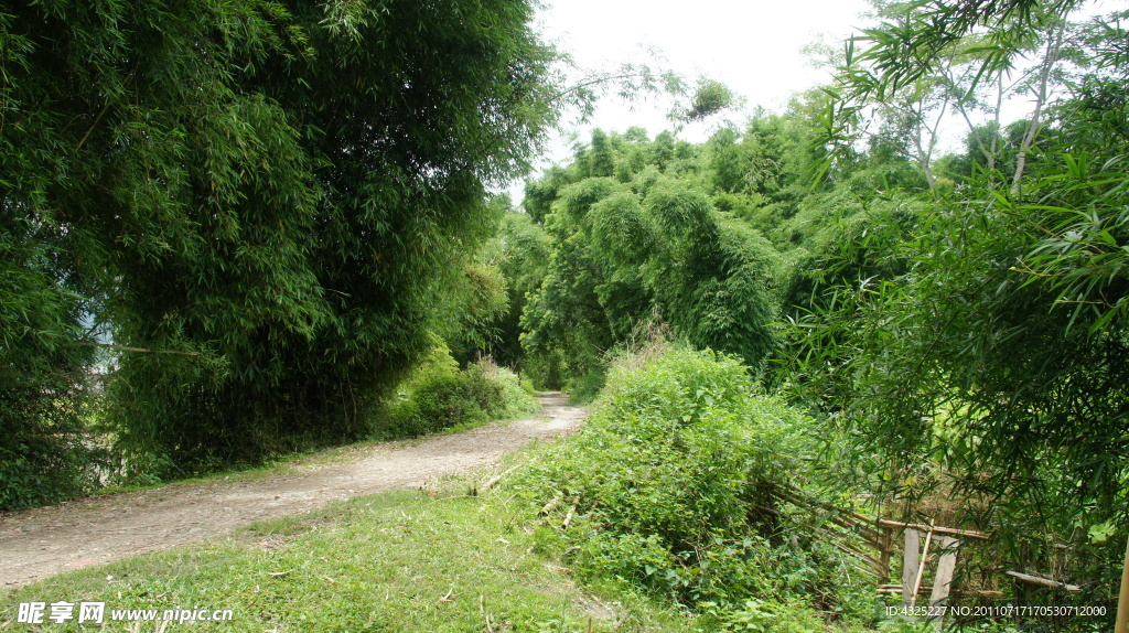乡村小路