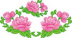 牡丹花