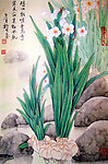 水仙花香