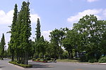 扬州风光