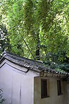 阿育王寺