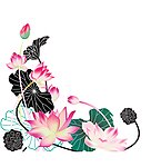 荷花