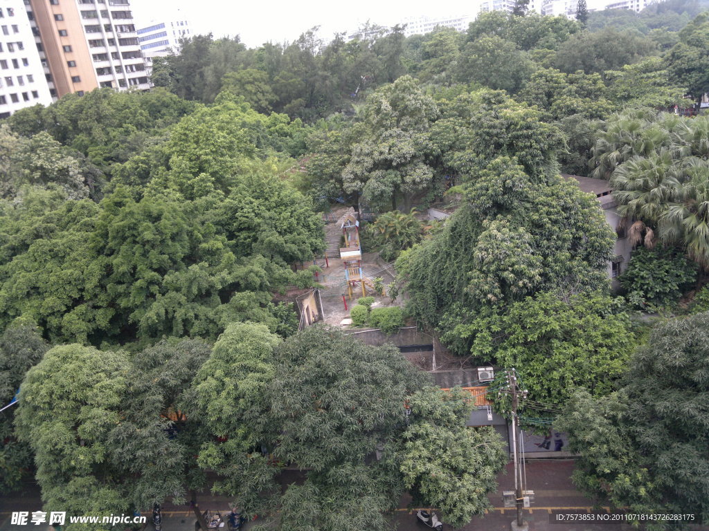 城市中的森林