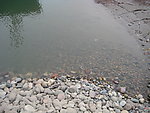 长江 河水