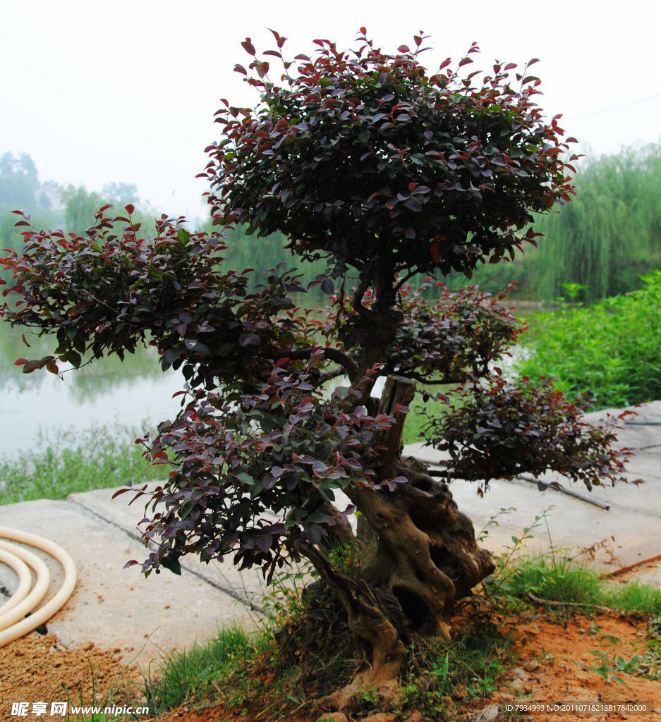 花好月圆